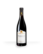 Santenay Fougenet 2020 Domaine Saint-Marc