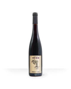 Pinot noir 2022 Domaine Herr